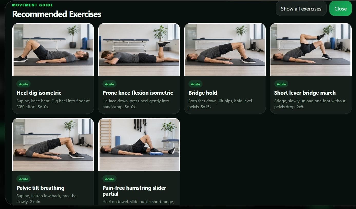 Exercise recommendation interface